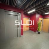 Bureaux A LOUER - CHAMPAGNE AU MONT D'OR - 821 m²