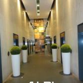 Bureaux A LOUER - LYON - 3 699 m²