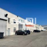 Locaux d'activités A LOUER - VILLEURBANNE - 252 m² Locaux d'activités A LOUER - VILLEURBANNE - 252 m²