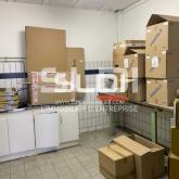 Locaux d'activités A LOUER - VILLEURBANNE - 252 m² Locaux d'activités A LOUER - VILLEURBANNE - 252 m²