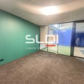 Activités A LOUER - VILLEURBANNE - 994 m²