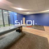 Activités A LOUER - VILLEURBANNE - 994 m²