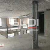 Bureaux A LOUER - VILLEURBANNE - 243 m²