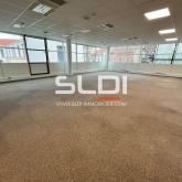 Bureaux A LOUER - LYON - 2 350 m²