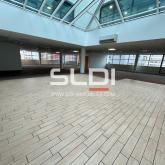 Bureaux A LOUER - LYON - 2 350 m²