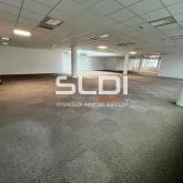 Bureaux A LOUER - LYON - 2 350 m²