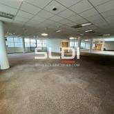 Bureaux A LOUER - LYON - 2 350 m²