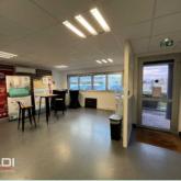 Activités A LOUER - DECINES CHARPIEU - 784 m²