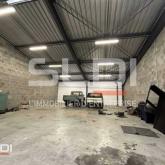 Locaux d'activités A LOUER - DARDILLY - 886 m²