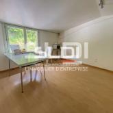 Locaux d'activités A VENDRE OU A LOUER - MARCILLY D'AZERGUES - 470 m²