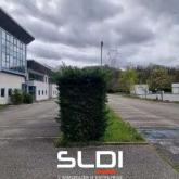 Activités A VENDRE - CIVRIEUX D'AZERGUES - 8 555 m²