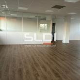 Bureaux A LOUER - BRON - 255 m² Bureaux A LOUER - BRON - 255 m²