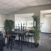 Bureaux A LOUER - CHASSIEU - 157 m² Bureaux A LOUER - CHASSIEU - 157 m²