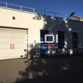 Locaux d'activités A LOUER - VILLEURBANNE - 385 m²