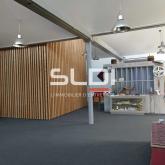 Activités A VENDRE - BOURGOIN JALLIEU - 630 m²