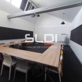 Activités A VENDRE - BOURGOIN JALLIEU - 630 m²