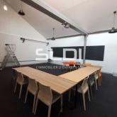 Activités A VENDRE - BOURGOIN JALLIEU - 630 m²