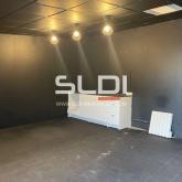 Locaux d'activités A LOUER - VILLEURBANNE - 850 m²