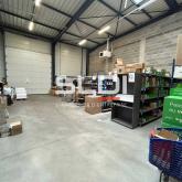 Activités A LOUER - NEUVILLE SUR SAONE - 2 295 m²