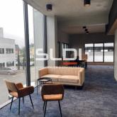 Bureaux A LOUER - RILLIEUX LA PAPE - 366 m²