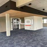 Bureaux A LOUER - RILLIEUX LA PAPE - 366 m²