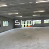 Activités A LOUER - RILLIEUX LA PAPE - 382 m²