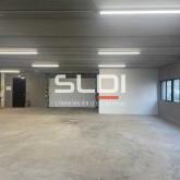 Activités A LOUER - RILLIEUX LA PAPE - 382 m²