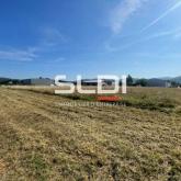 Terrains A VENDRE - SAINT JEAN LE VIEUX - 535 m²