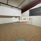 Activités A LOUER - VAUGNERAY - 140 m²