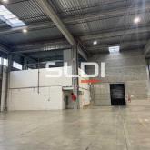 Entrepôts/Messagerie A LOUER - SAINT QUENTIN FALLAVIER - 8 653 m²