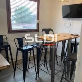 Bureaux A LOUER - VILLEURBANNE - 350 m²