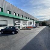 Activités A LOUER - MIONS - 154 m²