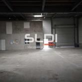 Activités A LOUER - TOUSSIEU - 750 m²