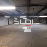 Activités A LOUER - TOUSSIEU - 750 m²