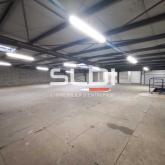 Activités A LOUER - TOUSSIEU - 750 m²
