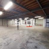 Activités A LOUER - TOUSSIEU - 750 m²
