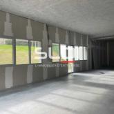 Bureaux A VENDRE - LISSIEU - 287 m²