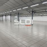 Locaux d'activités A LOUER - VILLEURBANNE - 2 306 m²