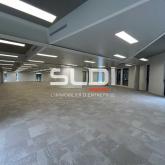 Bureaux A LOUER - LIMONEST - 3 448 m²