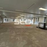 Bureaux A LOUER - LIMONEST - 3 448 m²