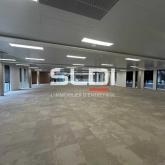 Bureaux A LOUER - LIMONEST - 3 448 m²