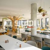 Bureaux A LOUER - LIMONEST - 3 448 m²