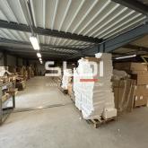 Locaux d'activités A LOUER - VILLEFRANCHE SUR SAONE - 860 m²