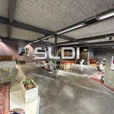 Locaux d'activités A LOUER - VILLEFRANCHE SUR SAONE - 860 m²