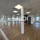 Bureaux A LOUER - DARDILLY - 248 m²