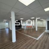 Bureaux A LOUER - DARDILLY - 248 m²