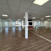 Bureaux A LOUER - DARDILLY - 248 m²