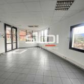 Activités A LOUER - CHAPONNAY - 1 479 m²