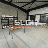 Locaux d'activités A LOUER - VILLEFRANCHE SUR SAONE - 327 m²