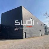 Activités A LOUER - VILLEURBANNE - 2 400 m²